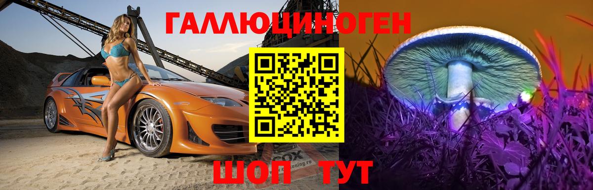 Псилоцибиновые грибы Psilocybine cubensis  Вход с VPN  закладки  Сорочинск 